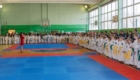 Открытые соревнования по тхэквондо «Юный Легионер»