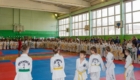 Открытые соревнования по тхэквондо «Юный Легионер»