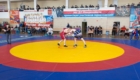 Всероссийский турнир по спортивной борьбе памяти Б.К. Чернышева