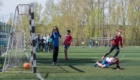 Здесь рождаются спортивные звезды