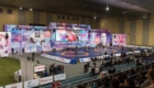 XXIX Международный турнир по вольной борьбе имени Ивана Ярыгина