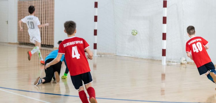 Кубок ФК «Тотем» по мини-футболу при поддержке ОНФ
